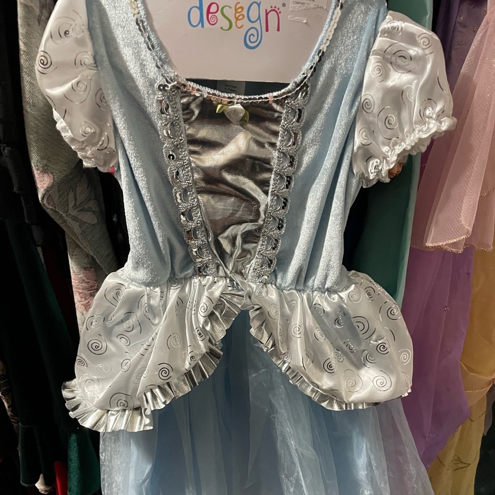 Cinderella Costume